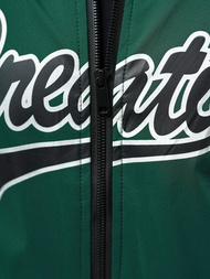 Moška prehodna jakna zelena OZONEE JS/84M3011/238