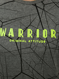 Moška majica grafitna OZONEE JS/SS10935