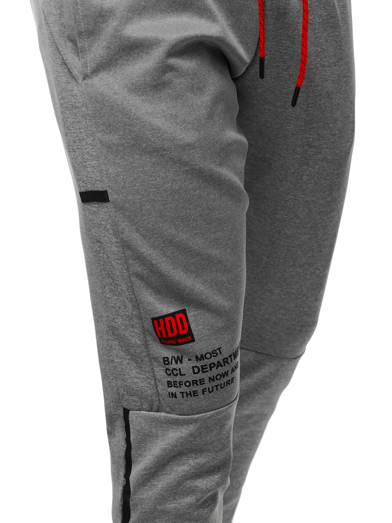 Moške športne hlače sive JS/AM88Z