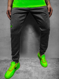  Moške športne hlače grafitne JS/AM88Z