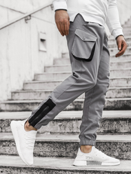 Moške hlače jogger sive OZONEE A/705