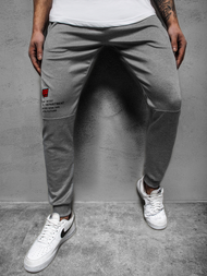  Moške športne hlače sive JS/AM88Z