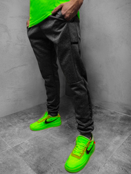  Moške športne hlače grafitne JS/AM88Z